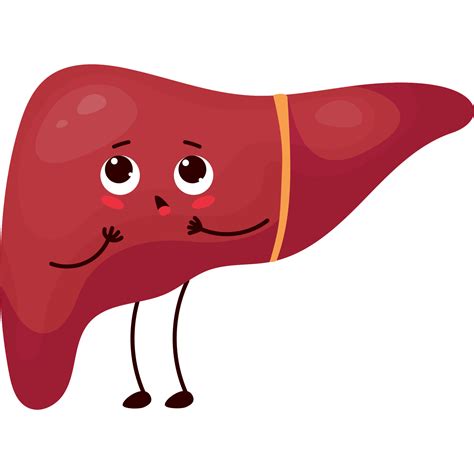 Surprised Cartoon Liver 23754867 Vector Art At Vecteezy