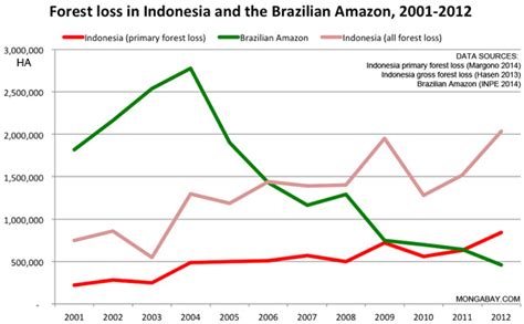 Despite moratorium, Indonesia now has world's highest deforestation rate