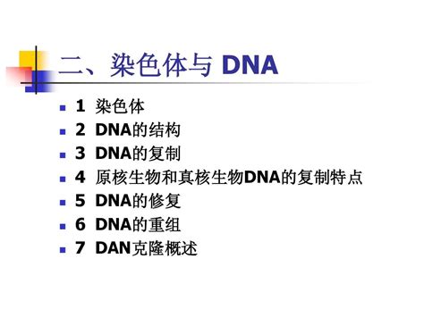 2染色体与 Dna Word文档在线阅读与下载 无忧文档