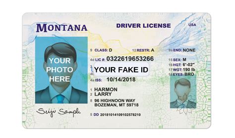 Fake Driver License For Roblox Your Fake ID Templates