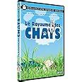 Le Royaume Des Chats Amazon Fr Hiroyuki Morita DVD Et Blu Ray