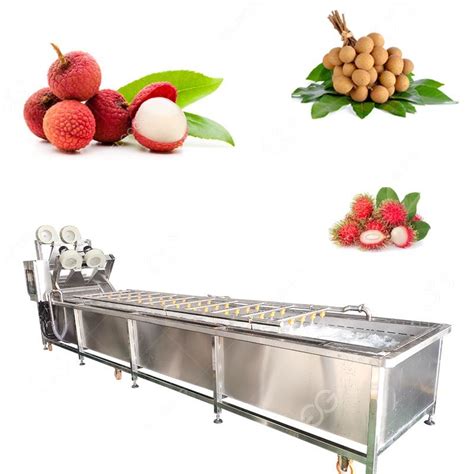 Longan Litchi Rambutan Fruit Washing Drying Line China Fruit Washing