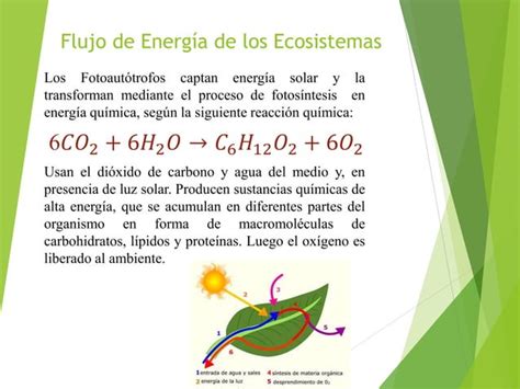 El Sol Fuente Primaria De Energía Ppt