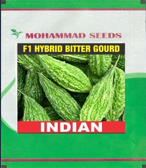 Green Indian F 1 Hybrid Bitter Gourd Seeds Packaging Size 50 Gm At Rs 500 Pack In Panipat