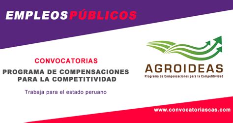 CONVOCATORIA AGROIDEAS CAS 1 Plaza Ingeniería civil Empleos