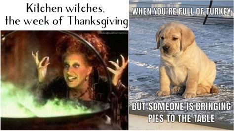 Thanksgiving 2022 Funny Memes And Food Coma Jokes Celebrate Turkey Day