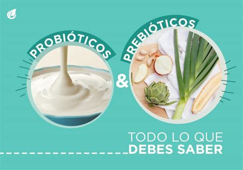 Probióticos y prebióticos Beneficios y salud intestinal