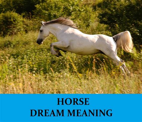 Horse Dream Meaning - Top 100 Dreams About Horses : Dream Meaning Net