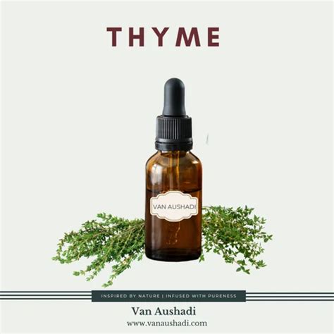 Pure Thyme Essential Oil Packaging Size L At Rs Kg In Navi