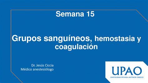 Solution Grupos Sanguineos Hemostasia Coagulacion Fisiologia Studypool