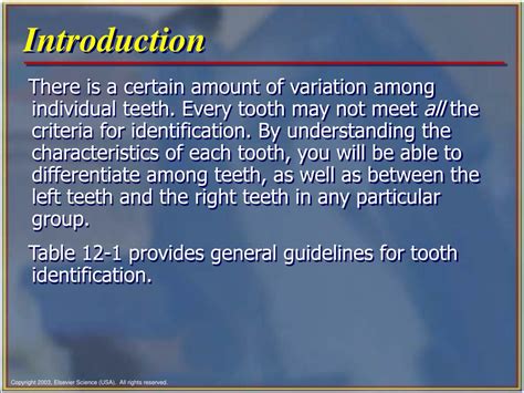 PPT Chapter 12 Tooth Morphology PowerPoint Presentation Free