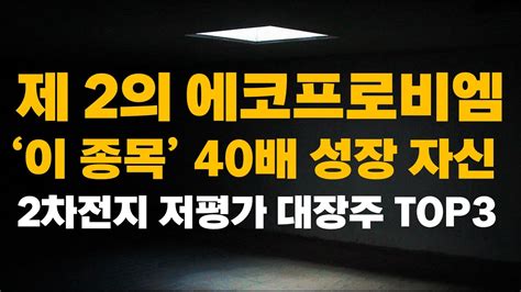 주식 제 2의 에코프로비엠 이 종목 40배 성장 자신 2차전지 저평가 대장주 Top3 에코프로비엠주가전망 에코프로비엠