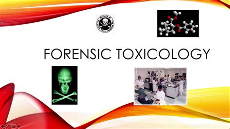 Forensic Toxicology Notes YouTube