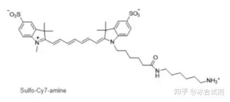 Cy7荧光标记cy7 Nhs菁染料cy7标记氨基 知乎