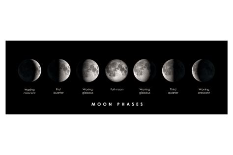 What Are The 8 Phases Of The Moon And How To Use Them For Personal Goal Setting Foxglove And