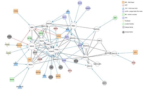 Extend A Genemania Network With Tf Data From The Encode Project A Set