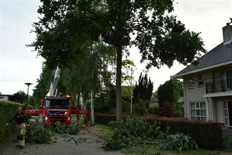 Brandweer Lelystad Verwijdert Gevaarlijk Hangende Tak