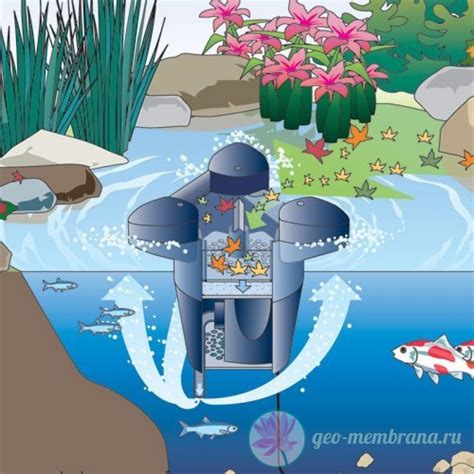 Скиммер плавающий OASE SwimSkim 25 купить в Москве, цена 22 490 руб в ...