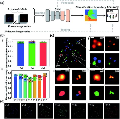 Multiplexed Structured Illumination Super Resolution Imaging With