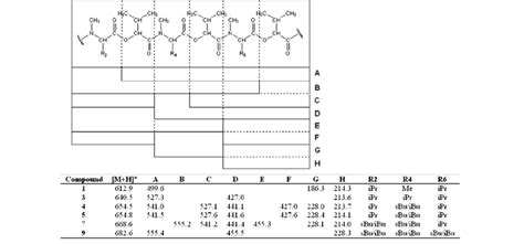 Mass Spectral Fragmentation Pattern Of Compounds 1 3 4 5 7 And 9