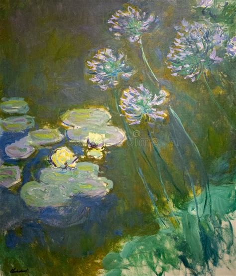 Água lírios E Agapanthus De Claude Monet Imagem de Stock Ilustração