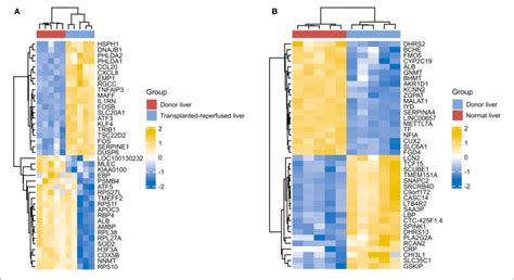 Differences Of Gene Expression Between The Donor Liver The Healthy