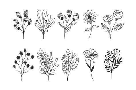 Colección de flores dibujadas a mano Vector Gratis