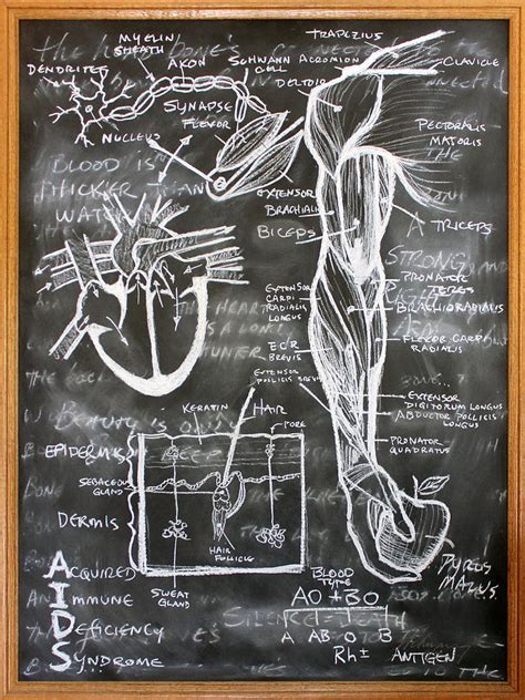 Anatomy Lesson Painting by Fred Chuang - Pixels