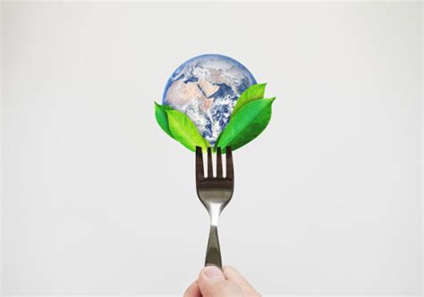 50 Most Sustainable Foods For A Planet Friendly Plate Tamborasi