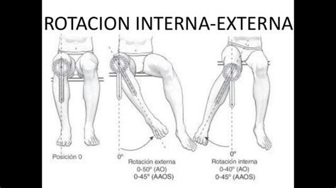 Evaluacion De Goniometro Rotacion Externa De Cadera Bianchini Orta