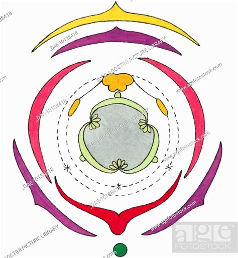 Diagram Of The Orchid Flower Orchidaceae Cross Section Drawing