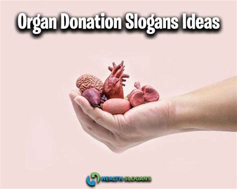 220 Catchy Organ Donation Slogans With Ideas And Mottos