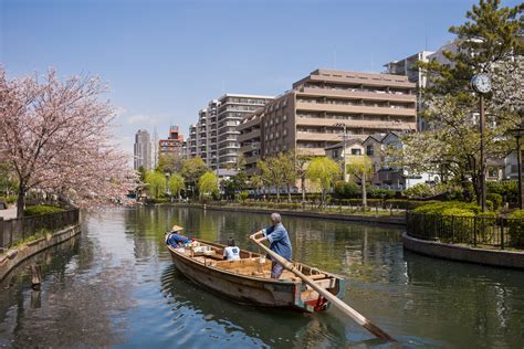 A Tokyo cherry blossom journey — Tokyo Times