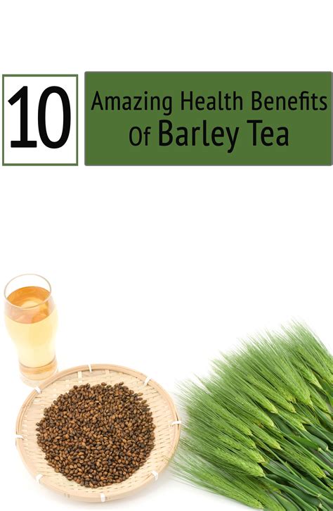 Barley Coffee Benefits – لاينز