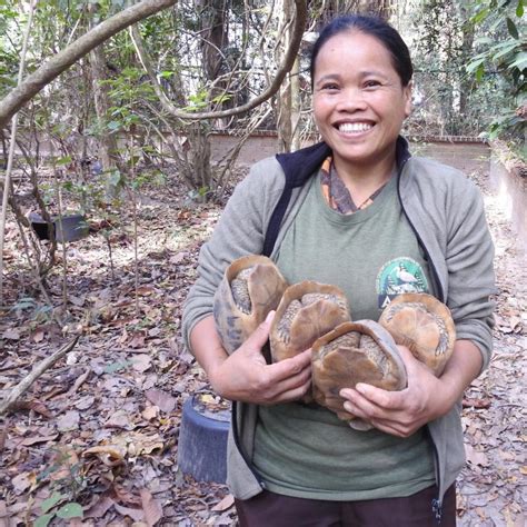 Angkor Centre For Conservation Of Biodiversity On Linkedin ផន ស្រីមុំ