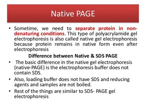 Gel Electrophoresis Native Denaturingandreducing