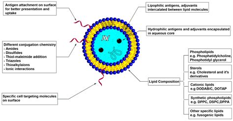 Vaccines Free Full Text Recent Advances In Subunit Vaccine Carriers