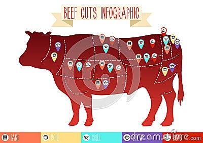 Beef Cuts Infographic Cartoon Vector Cartoondealer