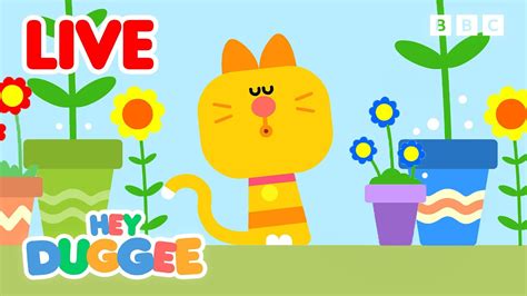 🔴live Enid S Favourite Duggee Moments 🐱 Hey Duggee Youtube