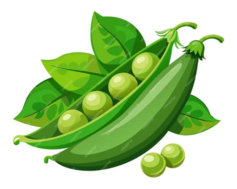 peas clip art 5