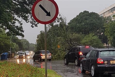 Forte chuva derruba árvores na Asa Sul nesta sexta feira 22 12