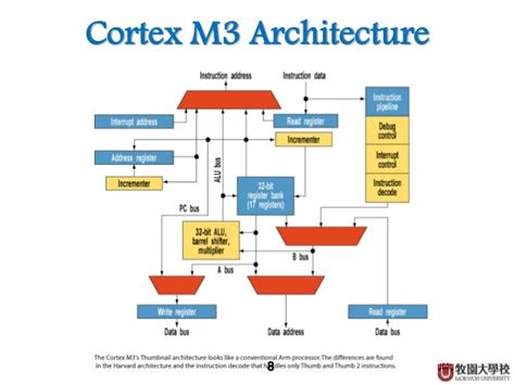 Arm Cpu