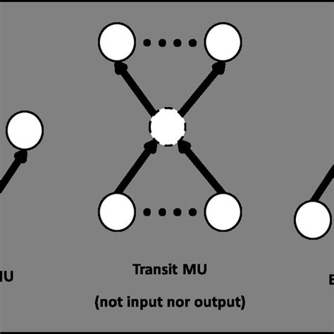 A Hypothetical Figure Shows The Type Of The MUs Represented By The