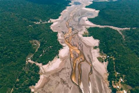 Seca na Amazônia pode chegar antes do previsto e superar 2023