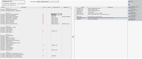 Analisi Di Bilancio Per Business Unit Manuale Prodotto