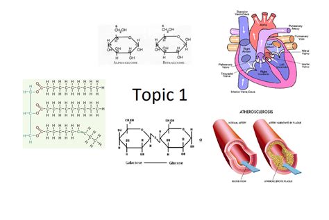 Diagram Of Biology Topic 1 Quizlet