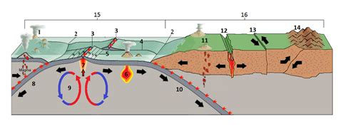 Lab #2: Plate Motions - Earth Science