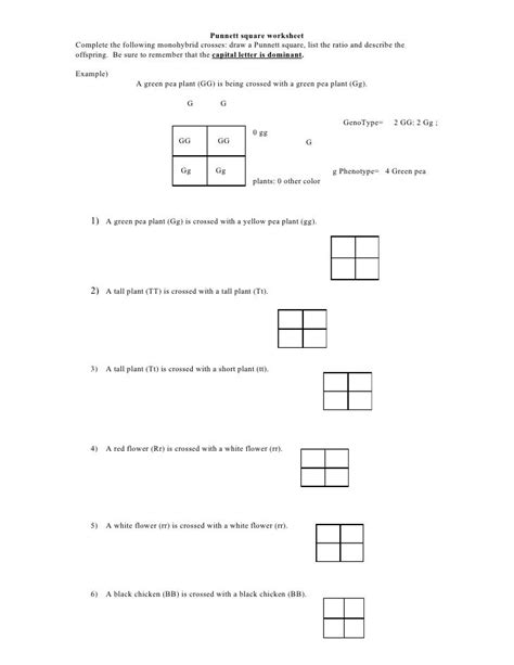 Printable Punnett Square Practice Worksheet