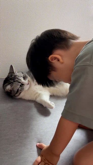 猫様に土下座（？）する男の子、その優しい理由は 愛猫思いの行動に「新しいアプローチ」とほっこり Lfy2306kodomo02w500 ねとらぼ