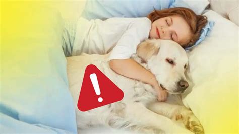 Voici pourquoi vous devriez absolument arrêter de dormir dans le même